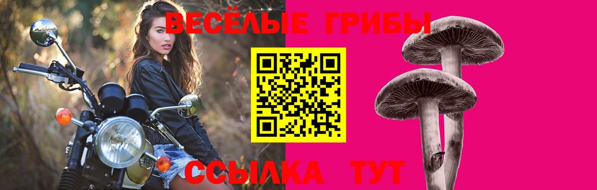 Галлюциногенные грибы MAGIC MUSHROOMS Наро-Фоминск